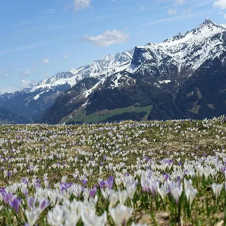 In With Mountain Views