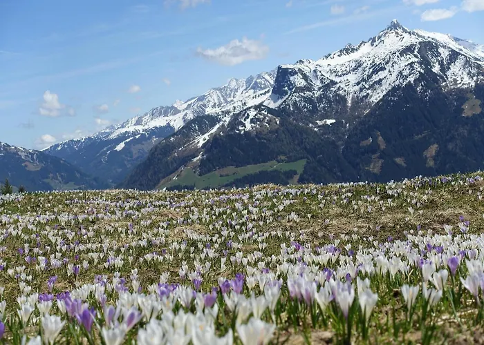 In With Mountain Views